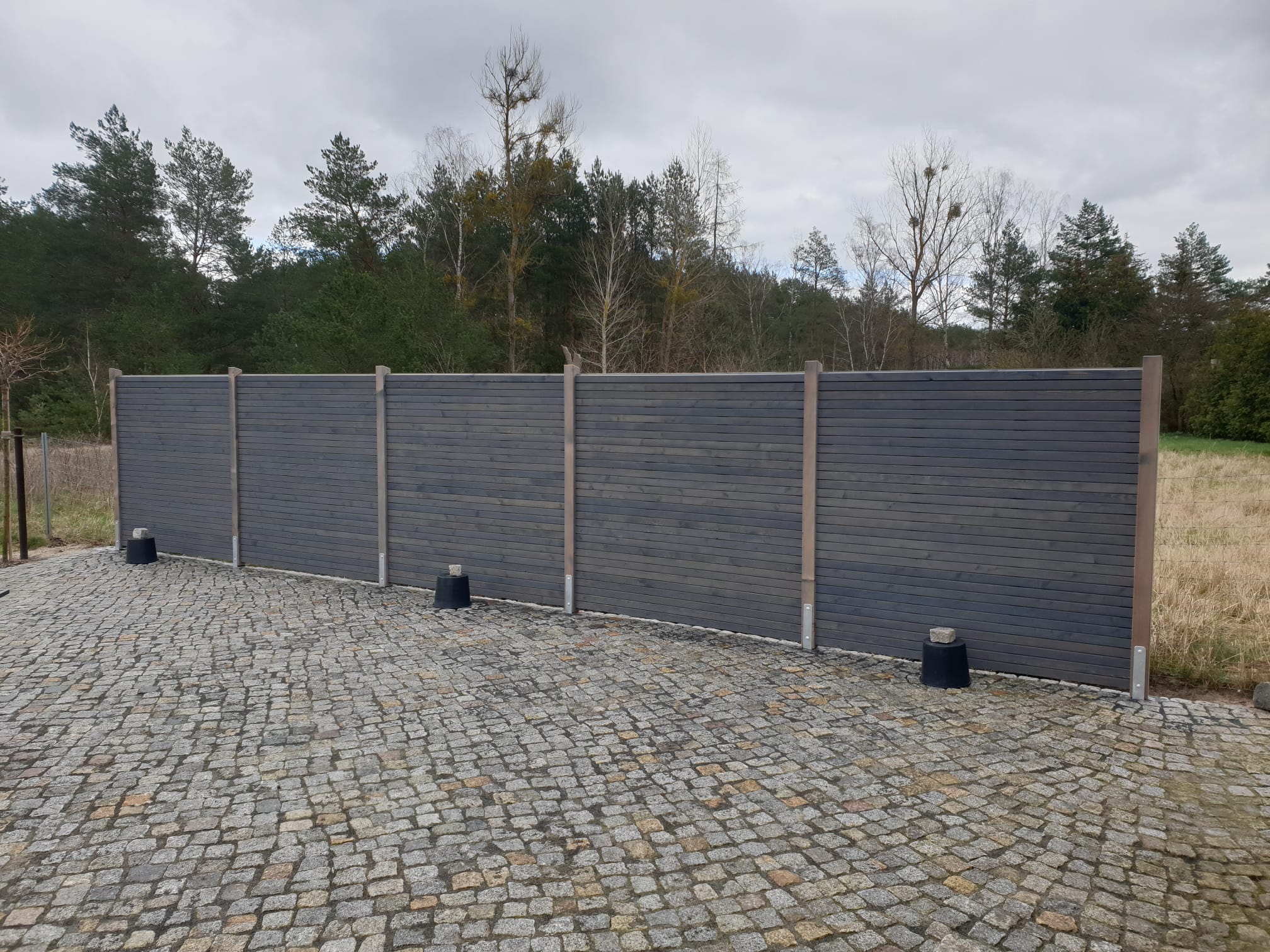 Sibirische Lärche Sichtschutz in Ahlbeck